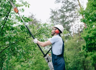 gardener-in-helmet-and-overalls-trimming-trees-wit-EMLS3DP-scaled-1-2048x13671-1[1]